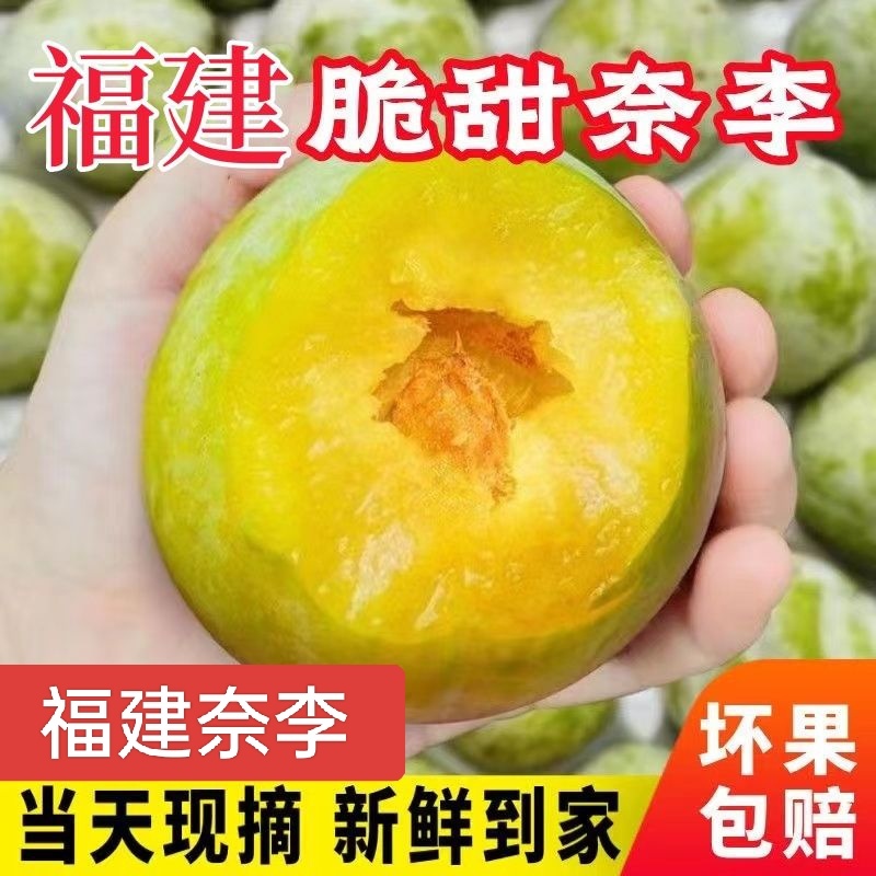 正宗福建古田油奈李青奈李黄金奈李产地果园直发
