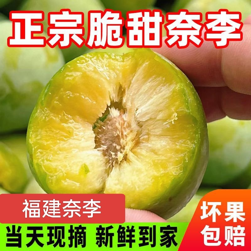 正宗福建古田油奈李青奈李黄金奈李产地果园直发