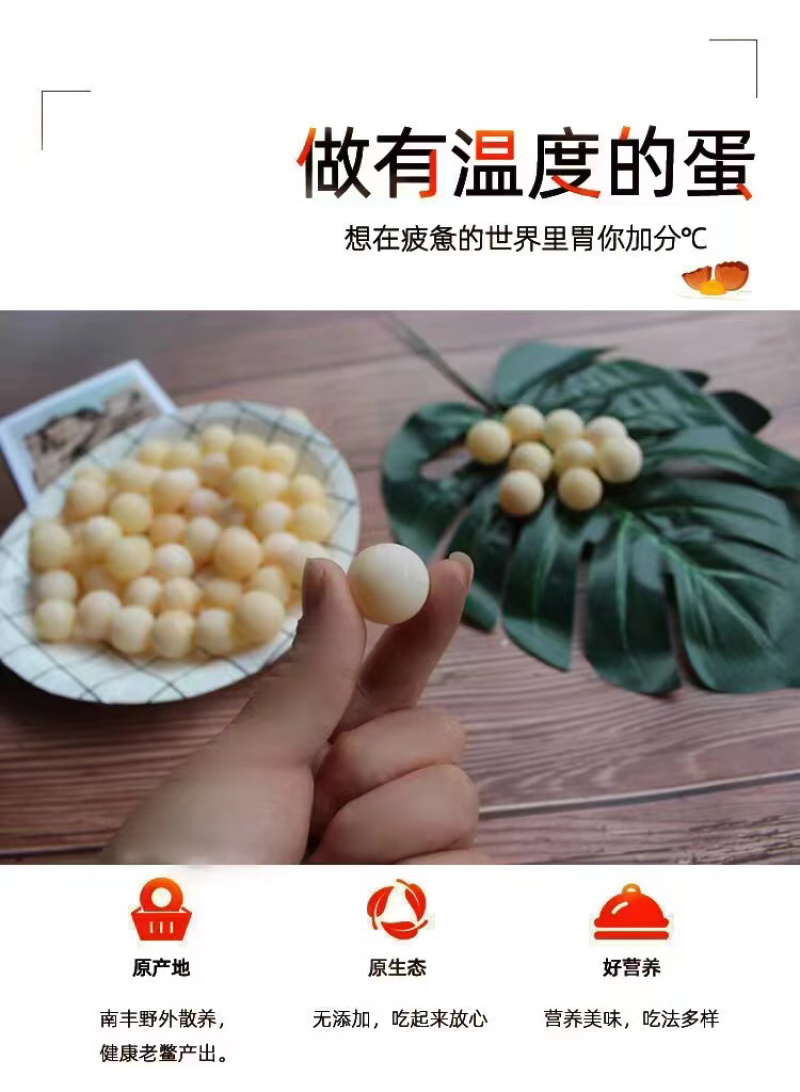 江西南丰自家养殖无精蛋现挖现发营养丰富男人加油站