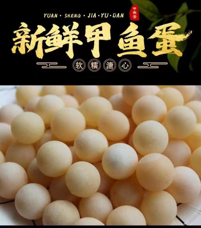 江西南丰自家养殖无精蛋现挖现发营养丰富男人加油站