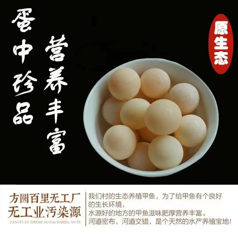 江西南丰自家养殖无精蛋现挖现发营养丰富男人加油站