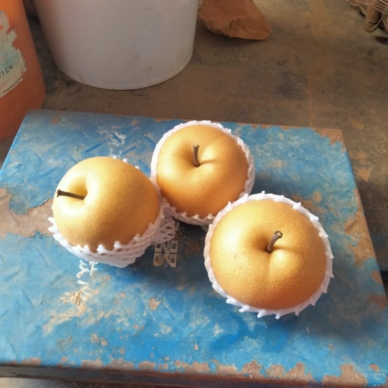 秋月梨
