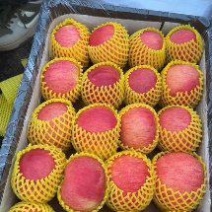 苹果精品红富士苹果质量保证，价格便宜，自家果园，地头收货