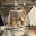 河南土豆沃土大量供应支持各种包装