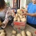 河南土豆沃土大量供应支持各种包装