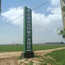 基地土豆马上大量出货，欢迎全国各地老板前来实地考察