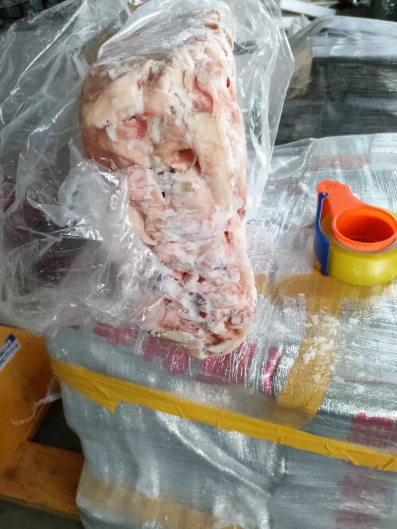 猪心管