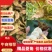 新鲜菱角，湖北产地直发，规格多样，对接市场商超，电联采购
