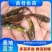 黄颡鱼苗黄辣丁苗杂交全雄养殖场直卖黄骨鱼苗