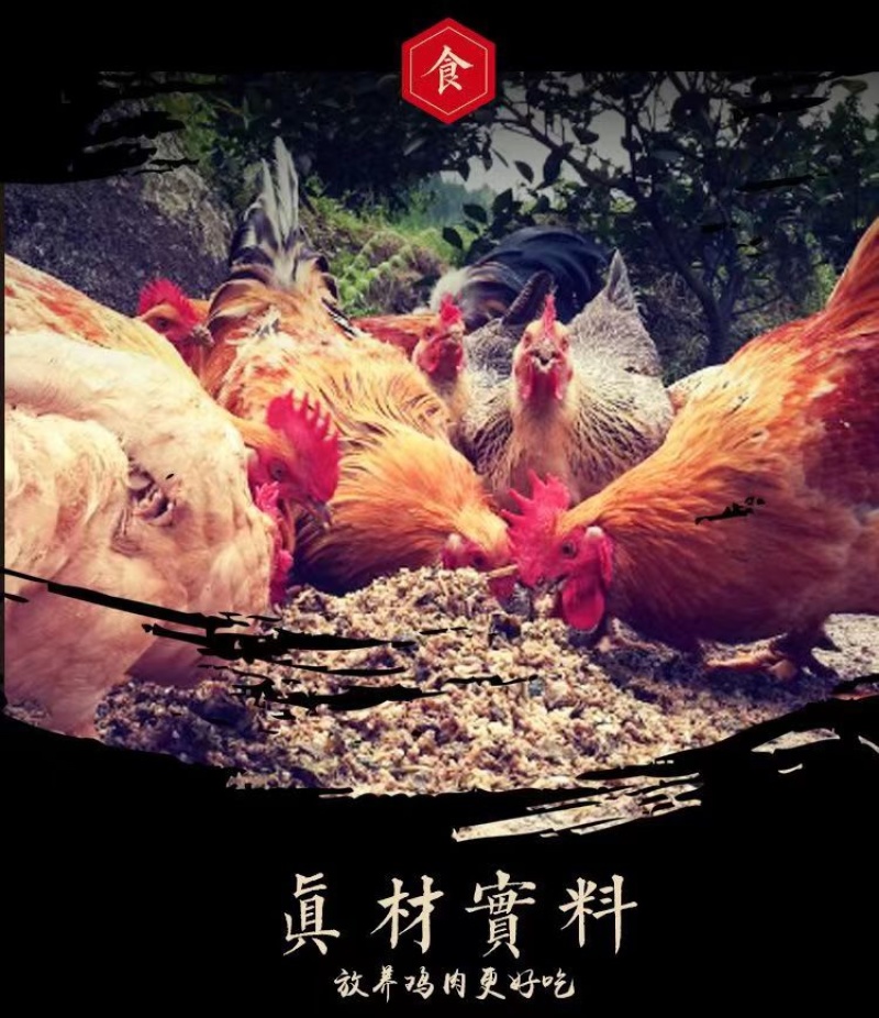 【德州扒鸡】视频号