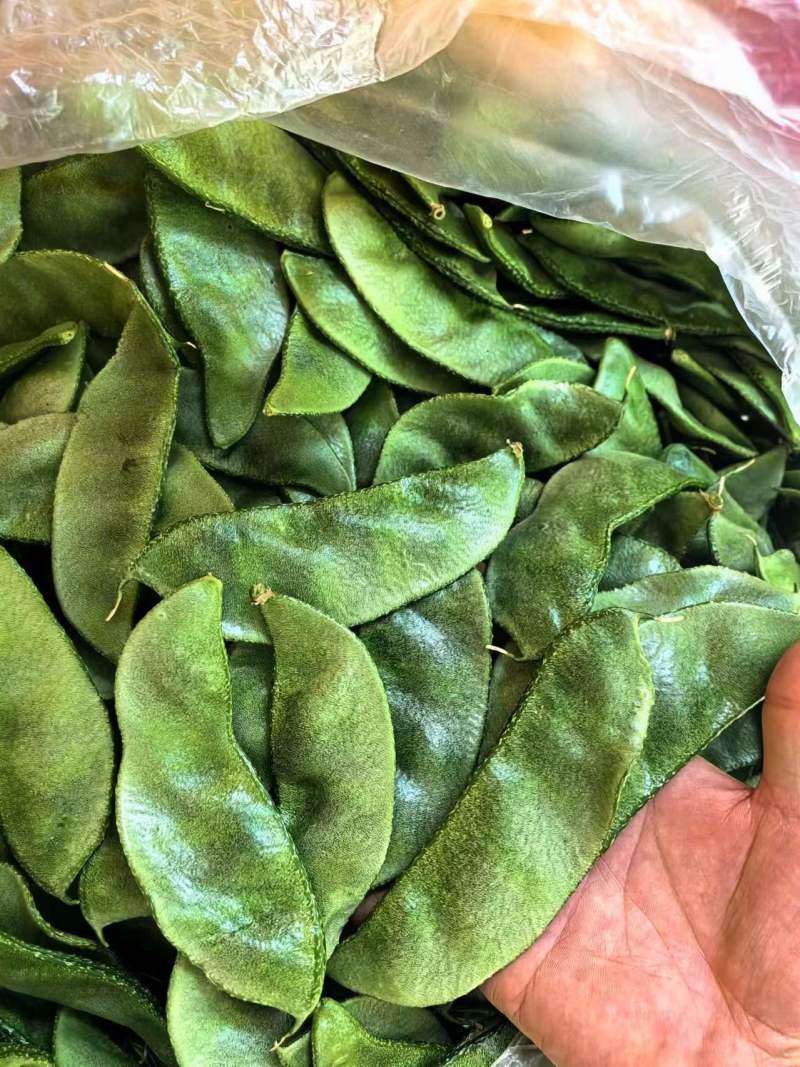 山东眉豆猪耳朵扁豆产地直发货源充一手货源对接各大商