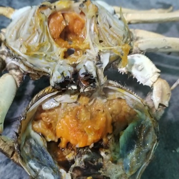盘锦河蟹大量供应，量大从优产地直发新鲜发货支持批发零售
