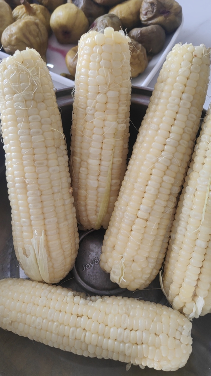 白甜糯