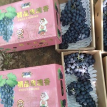 精品玫瑰香电商货，电商货只做品质，稳定供应，口感特别甜