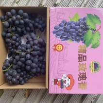 玫瑰香葡萄大量上市，基地直发，质量好价格实惠，欢迎采购