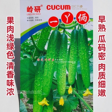 岭研一丫俩黄瓜种籽清香味浓浅绿皮绿肉水果黄瓜种子早熟
