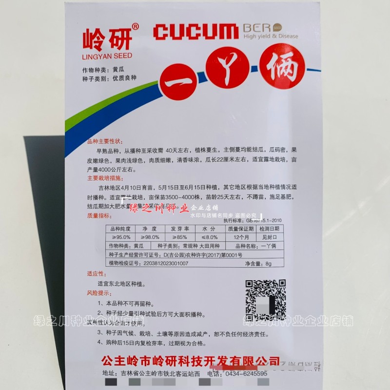 岭研一丫俩黄瓜种籽清香味浓浅绿皮绿肉水果黄瓜种子早熟