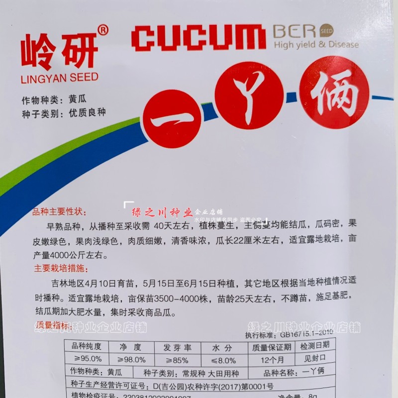 岭研一丫俩黄瓜种籽清香味浓浅绿皮绿肉水果黄瓜种子早熟