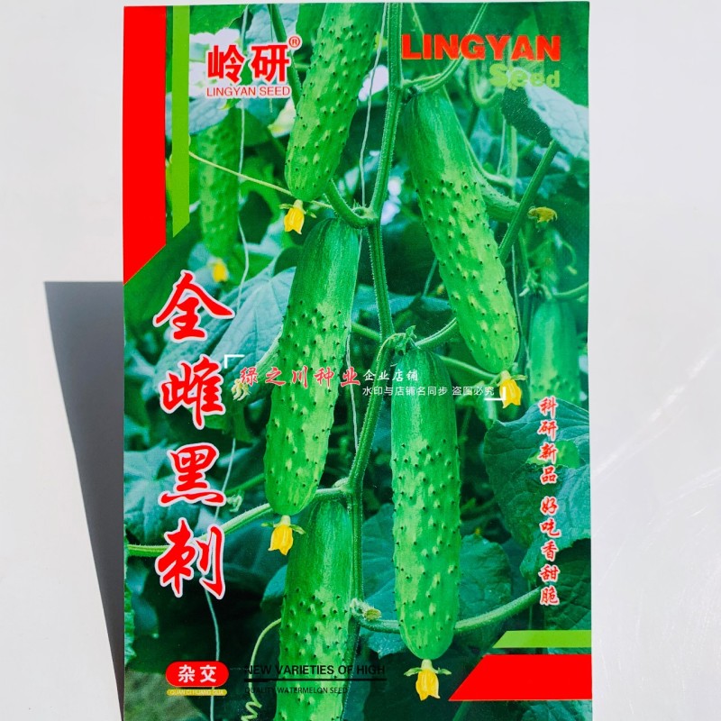 全雌黑刺水果黄瓜种子绿瓤甜脆旱黄瓜种子绿肉色泽翠绿