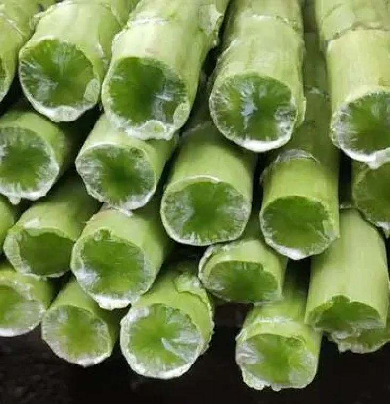 精品莴笋三青皮莴笋大量上市产地直发货源充足