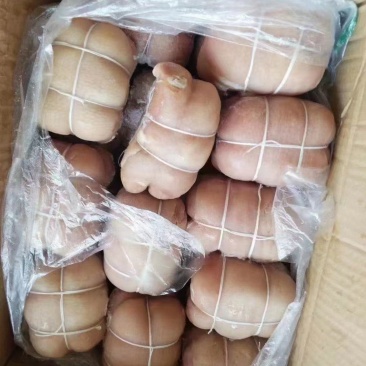 捆肘