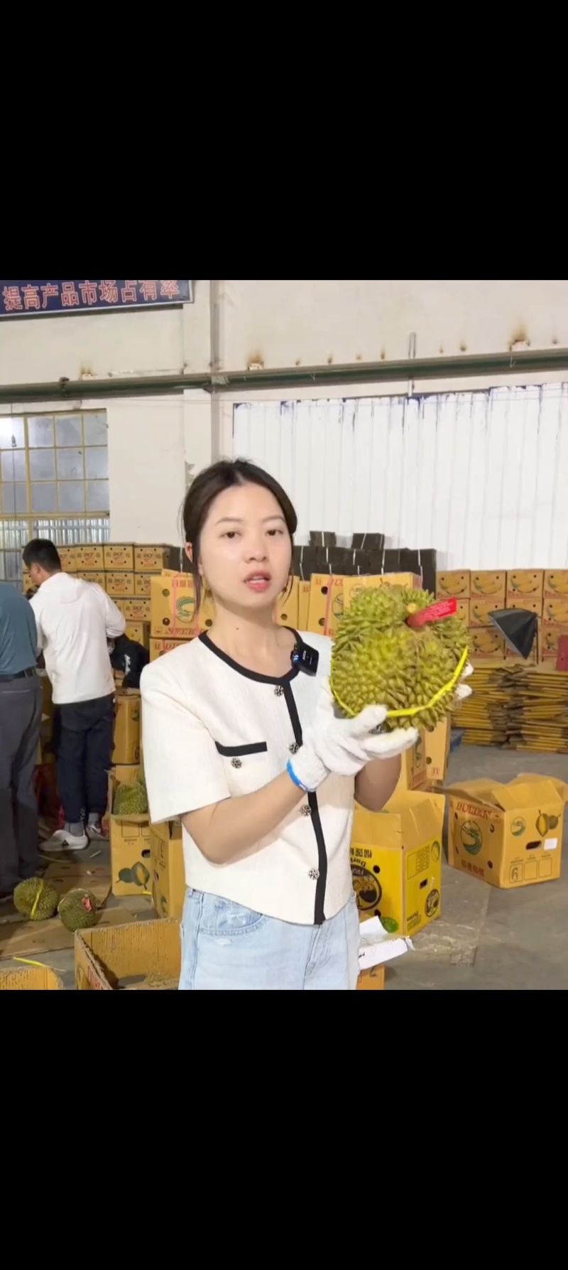 金枕榴莲，种植基地采摘，烂果坏果包售后