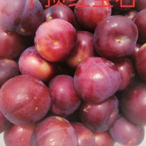 红宝石李子