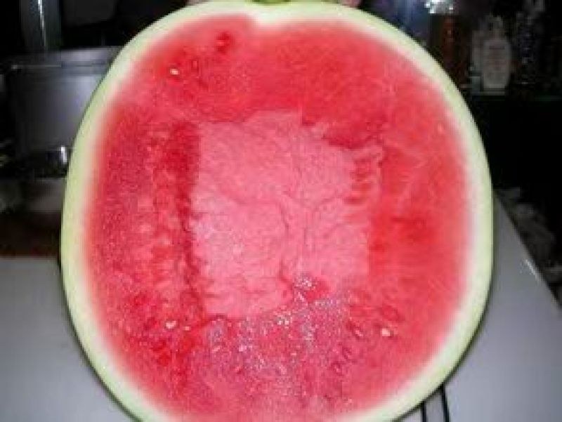《优选》湖北黑皮无籽西瓜洞庭一号，一手货源视频看货