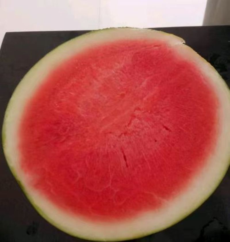 《优选》湖北黑皮无籽西瓜洞庭一号，一手货源视频看货