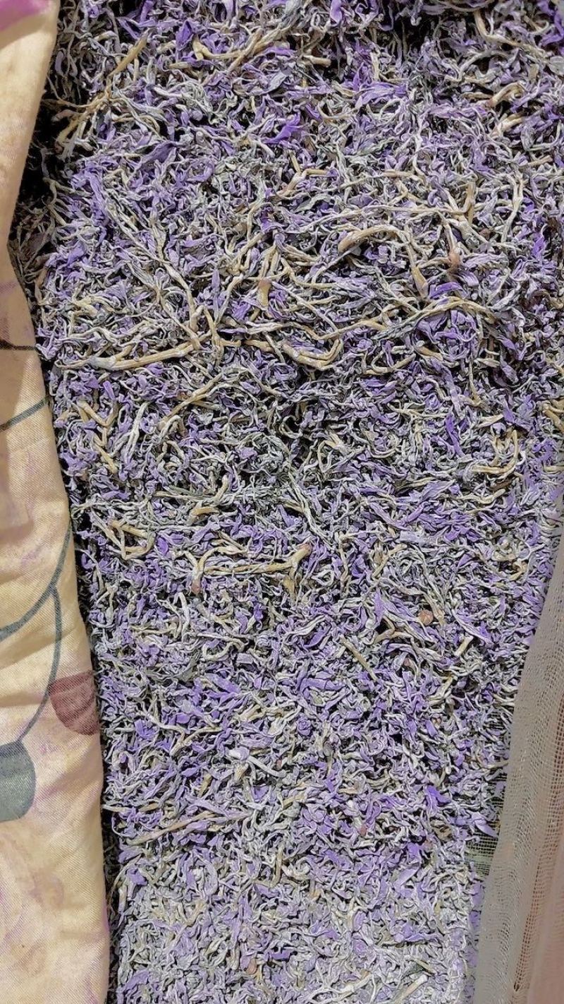 霉茶藤茶