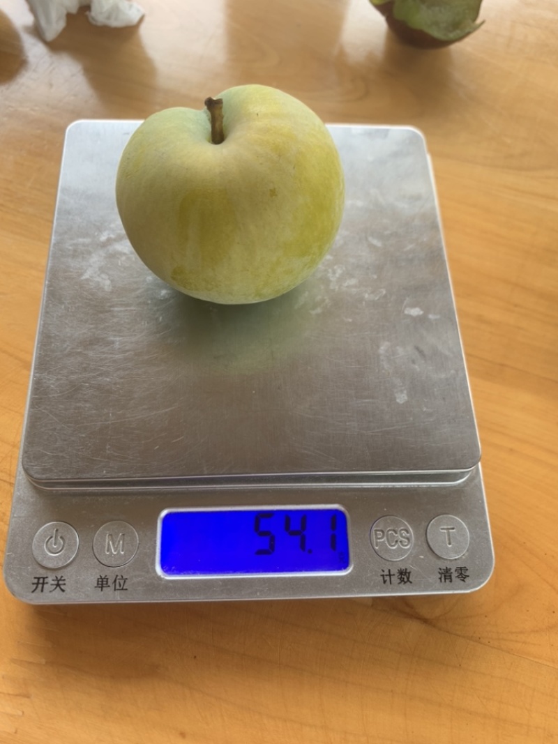 精品蜂糖李蜂糖李号称李中爱马仕其优点口感好口感甜