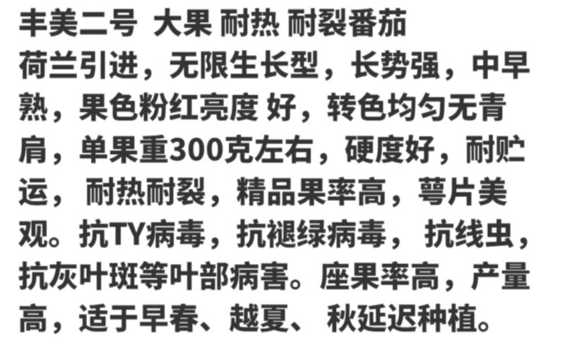丰美二号西红柿苗番茄苗耐热西红柿苗抗病毒大果西红柿苗