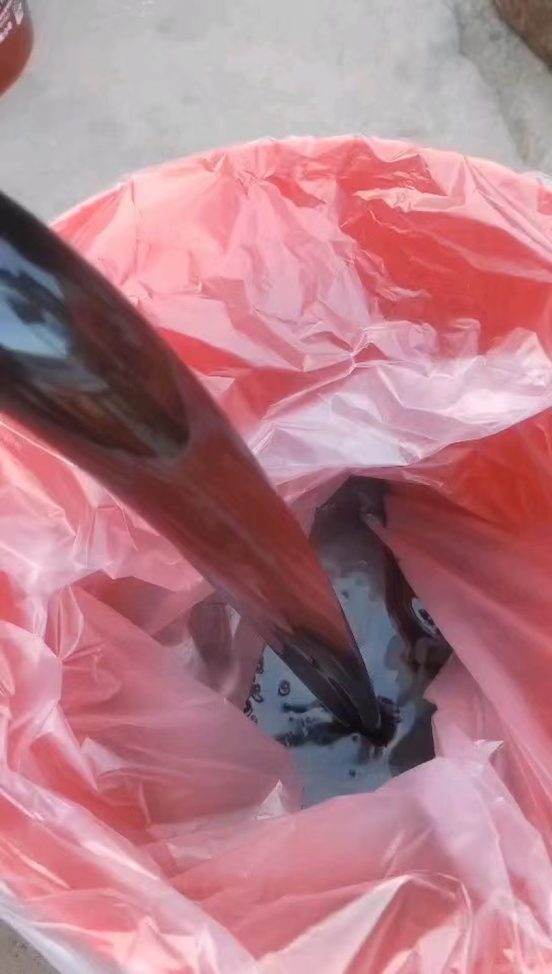 膨果王818