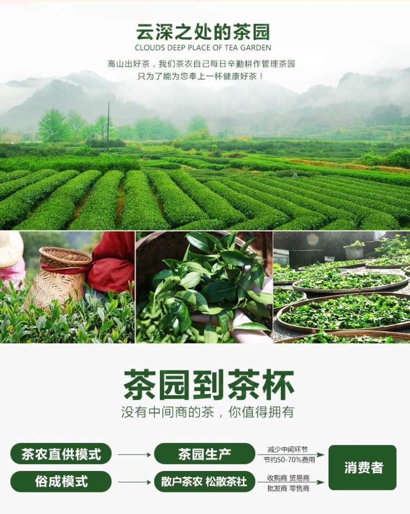 2024年新茶高山浓香黄金桂铁观音礼盒装批发500g