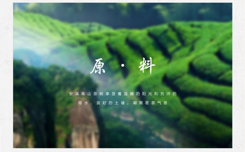 2024年新茶高山浓香黄金桂铁观音礼盒装批发500g
