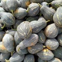 香芋南瓜新鲜采摘的小南瓜基地直发养殖南瓜食堂南瓜