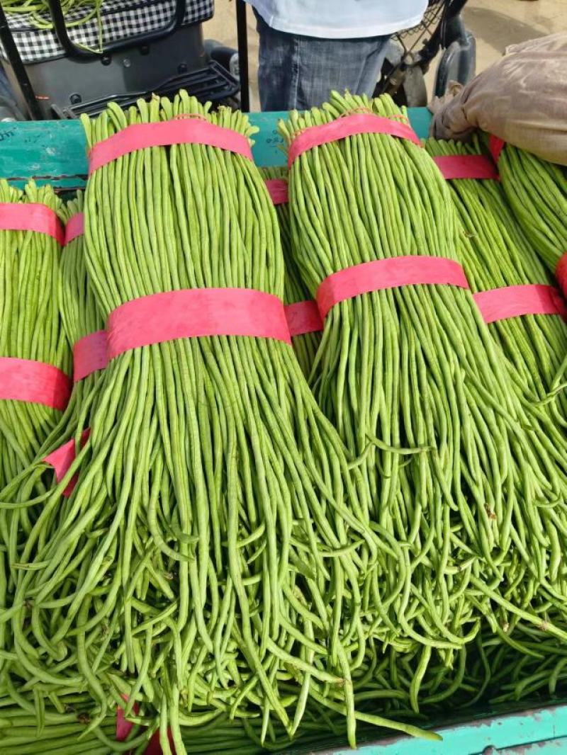 精品长豆角，青条豆角，河北邯郸产地直发，量大从优，新鲜对