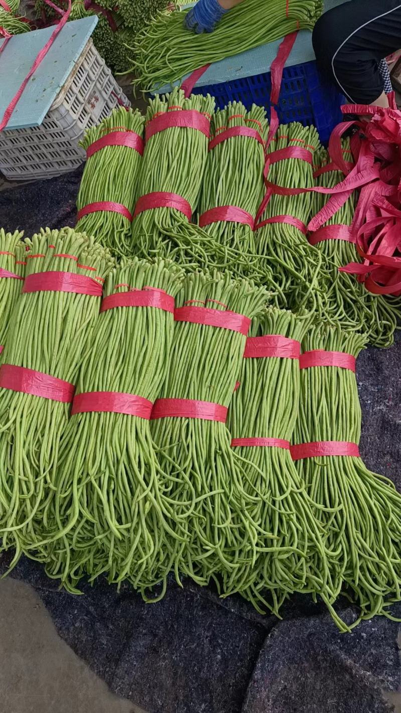 精品长豆角，青条豆角，河北邯郸产地直发，量大从优，新鲜对