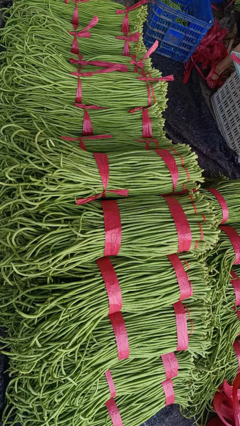 精品长豆角，青条豆角，河北邯郸产地直发，量大从优，新鲜对
