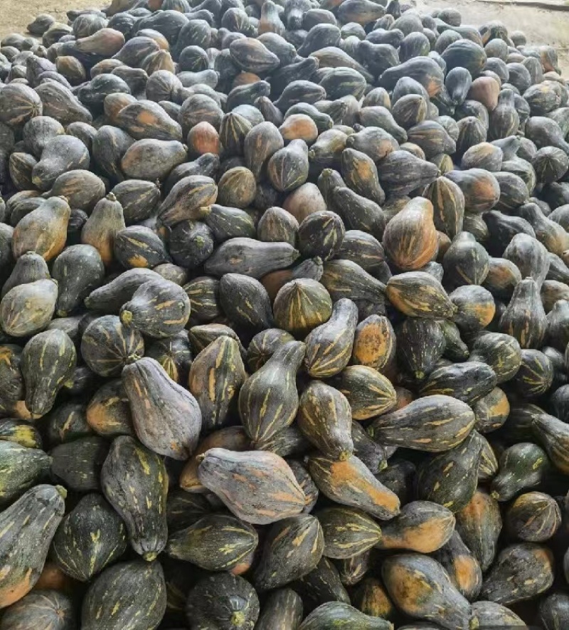香芋南瓜香味浓郁基地直发产地直供粉糯香甜香芋南瓜