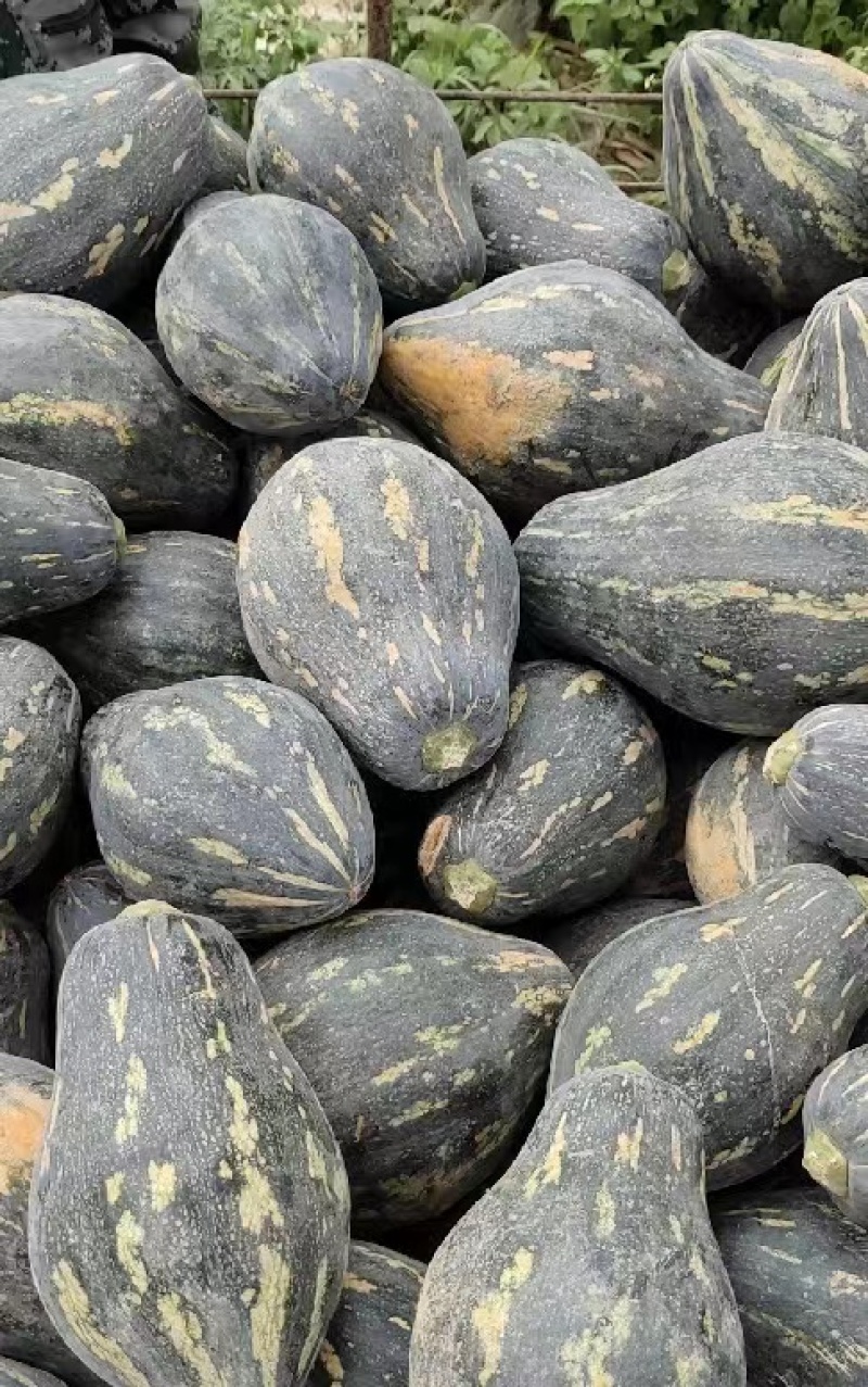 香芋南瓜香味浓郁基地直发产地直供粉糯香甜香芋南瓜