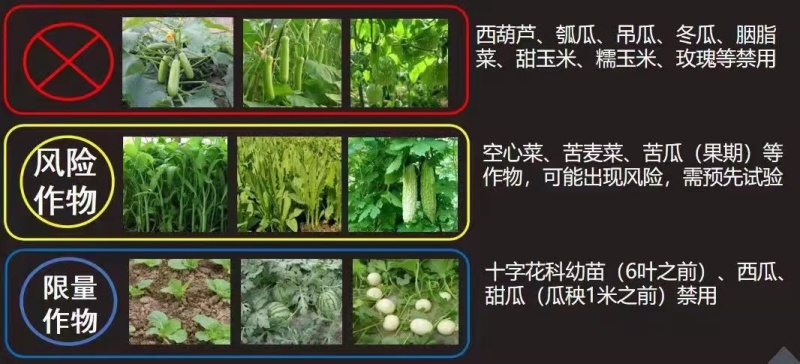 巧喜虫螨腈虱螨脲甘蓝甜菜夜蛾菜青虫玉米螟稻纵卷叶螟食心虫