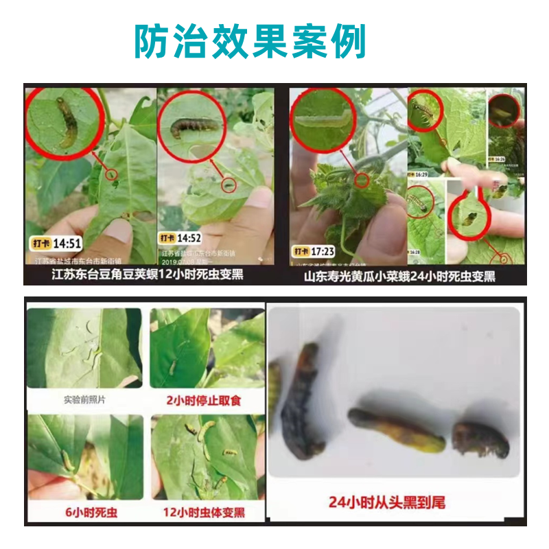 巧喜虫螨腈虱螨脲甘蓝甜菜夜蛾菜青虫玉米螟稻纵卷叶螟食心虫