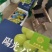 阳光玫瑰葡萄产地直发量大从优对接电商个头