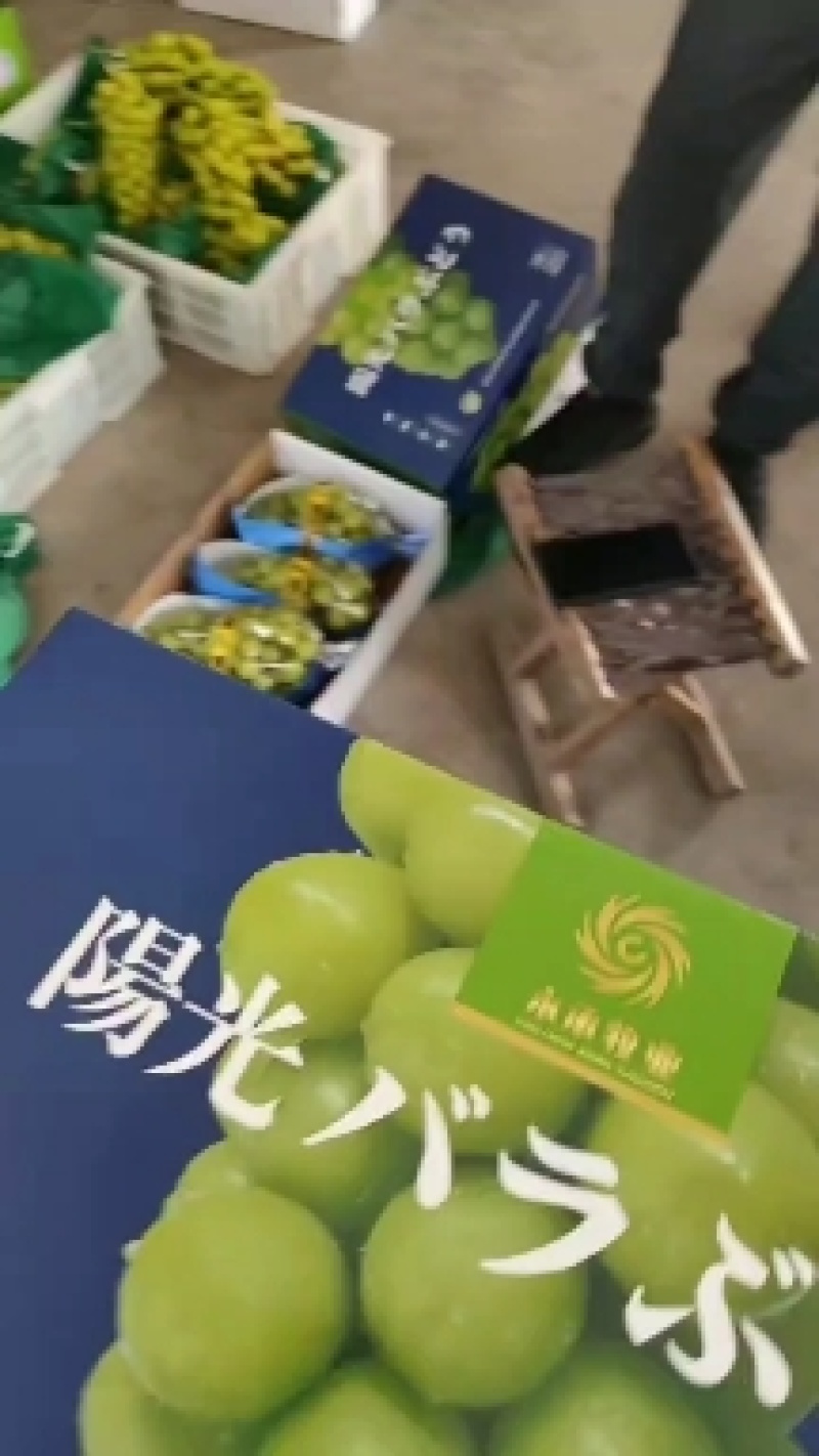 阳光玫瑰葡萄产地直发量大从优对接电商个头