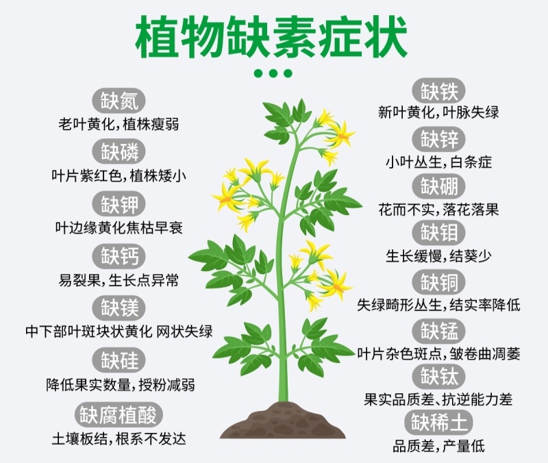 钙镁硼水溶肥快速矫正缺素症营养均衡防治落花落叶落果