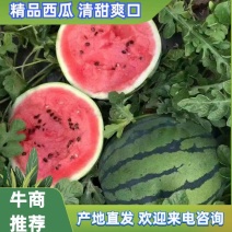 【湖北美都西瓜】大量上市，品种多规格全，货源充足欢迎订购