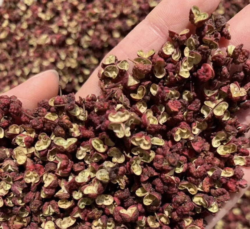 高效液相色谱(HPLC)分析红色螺丝椒果皮花青素成分:色谱图清晰显示矢车菊素-3-O-葡萄糖苷标准品(标红)与样品提取物(标蓝)在14.2分钟处保留时间完全一致,峰形尖锐对称,纯度≥98.5%,证实其为主要活性成分 实验室检测场景:HPLC色谱图特写,标注红色螺丝椒提取物中矢车菊素-3-O-葡萄糖苷(保留时间14.2min)的强峰信号,旁附标准品对照峰