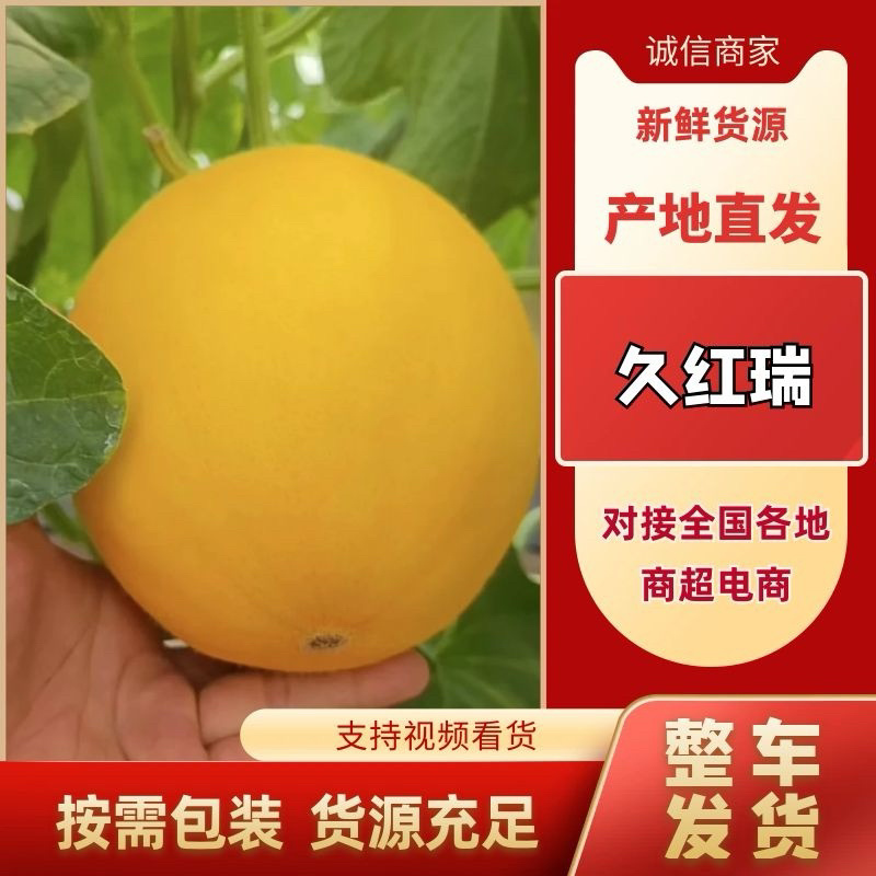 【推荐】久红瑞黄皮蜜瓜大量供应产地直发