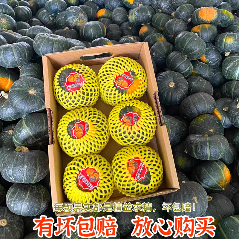贝贝南瓜南瓜板栗南瓜产地看货论价保质保量欢迎订